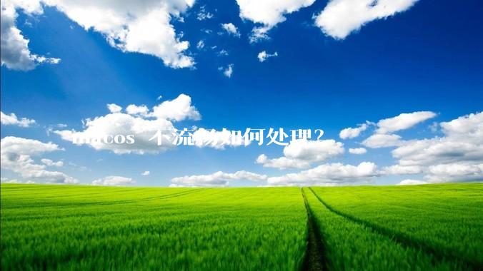 macos 不流畅如何处理？