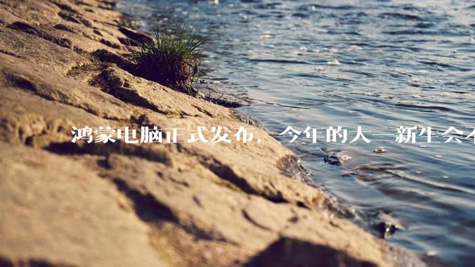 鸿蒙电脑正式发布，今年的大一新生会不会扎堆购买鸿蒙电脑？