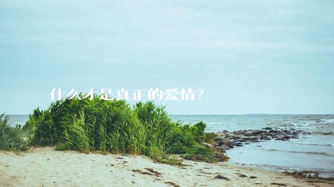 什么才是真正的爱情？